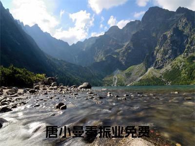 唐小曼秦振业的小说全文免费阅读无弹窗，唐小曼秦振业的小说在线免费阅读大结局
