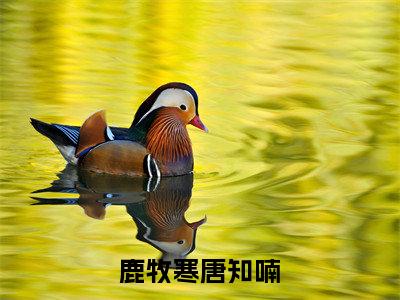 鹿牧寒唐知喃免费小说 鹿牧寒唐知喃在线小说免费阅读目录