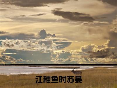 江稚鱼时苏晏小说全文阅读-江稚鱼时苏晏小说全文完整版免费阅读