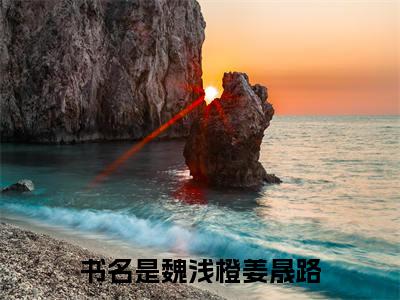 魏浅橙姜晟路完结版小说全文在线免费阅读_魏浅橙姜晟路最新章节列表_笔趣阁