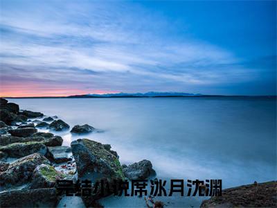 席冰月沈渊在线阅读全文免费阅读无弹窗大结局_席冰月沈渊最新章节列表_笔趣阁