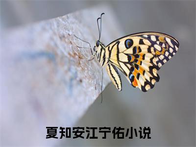 全网热搜（夏知安江宁佑）是什么小说_夏知安江宁佑小说（夏知安江宁佑）热门章节阅读无弹窗_笔趣阁