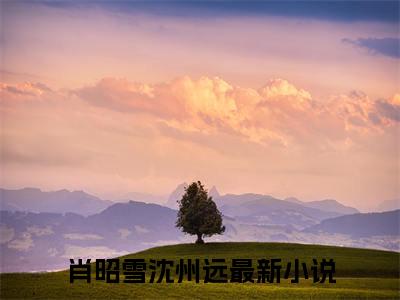 主角叫肖昭雪沈州远的小说-肖昭雪沈州远最新章节在线阅读