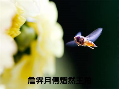 詹霁月傅熠然小说（詹霁月傅熠然）全文免费阅读无弹窗大结局_詹霁月傅熠然全文免费完结版阅读（詹霁月傅熠然）