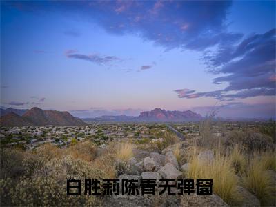白胜莉陈青（白胜莉陈青）小说全文免费阅读无弹窗大结局_（白胜莉陈青）白胜莉陈青最新章节列表笔趣阁（白胜莉陈青）