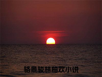骆景骏林柚欢小说（骆景骏林柚欢）免费观看-骆景骏林柚欢高质量小说推荐阅读