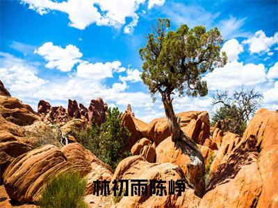 林初雨陈峥（林初雨陈峥）全文免费阅读无弹窗完整版_ (林初雨陈峥免费阅读全文)最新章节列表_笔趣阁（林初雨陈峥）