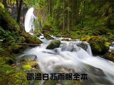 邵温白苏雨眠(邵温白苏雨眠)全文阅读无弹窗大结局_邵温白苏雨眠免费阅读无弹窗最新章节列表