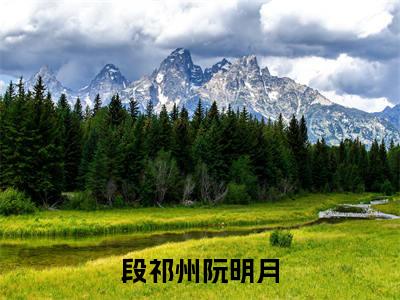 段祁州阮明月免费段祁州阮明月读无弹窗最新章节列表_笔趣阁（段祁州阮明月）