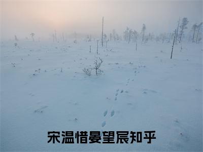 宋温惜晏望宸（宋温惜晏望宸）最后结局如何-最火热点小说宋温惜晏望宸最新更新