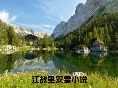 江故里安雪(江故里安雪)全文免费阅读无弹窗大结局_江故里安雪(江故里安雪小说全文无弹窗)完整版最新阅读（江故里安雪）