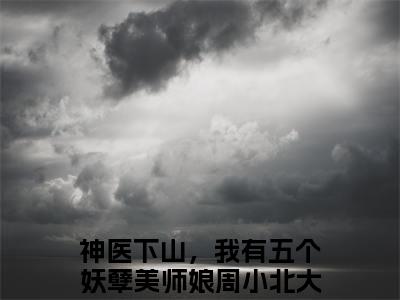 神医下山，我有五个妖孽美师娘周小北精彩章节-神医下山，我有五个妖孽美师娘周小北完整版阅读