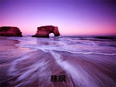 林枫（民国神将）全文免费阅读大结局-民国神将最新章节列表免费阅读大结局