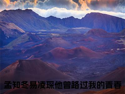 他曾路过我的青春的小说全文免费阅读无弹窗，孟知冬易凌琛的小说在线免费阅读大结局（孟知冬易凌琛）