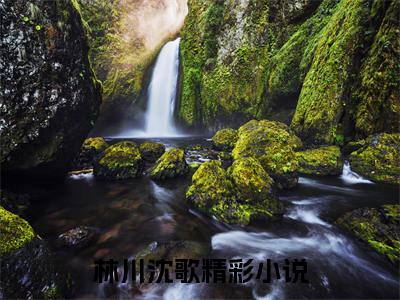 精选小说（林川沈歌）全本阅读-林川沈歌免费阅读-笔趣阁（林川沈歌）