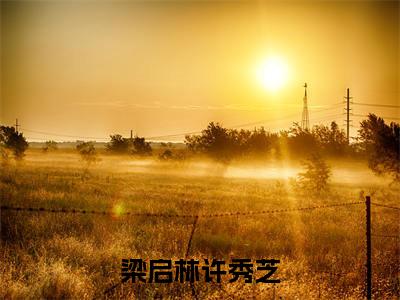 梁启林许秀芝最新章节（梁启林许秀芝全文+后续）全文免费阅读无弹窗大结局_梁启林许秀芝全文+后续免费阅读（梁启林许秀芝）