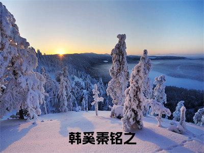 韩奚秦铭之全文免费阅读无弹窗大结局_ （韩奚秦铭之完结）韩奚秦铭之小说最新章节列表