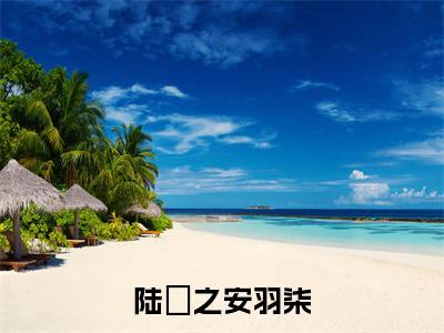 陆洐之安羽柒全文免费阅读（陆洐之安羽柒）全文无删减版在线阅读_陆洐之安羽柒全文免费阅读最新章节列表_笔趣阁