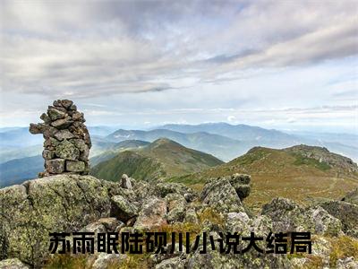 甜爆款小说苏雨眠陆砚川-苏雨眠陆砚川免费在线阅读