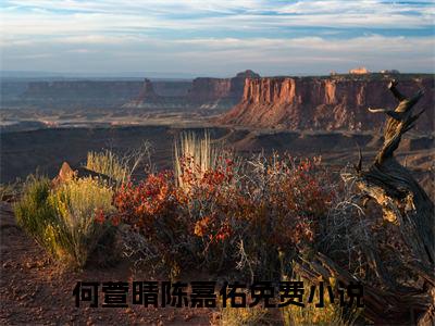 何萱晴陈嘉佑免费阅读（何萱晴陈嘉佑）全文免费阅读无弹窗大结局_何萱晴陈嘉佑免费阅读最新章节列表_笔趣阁（何萱晴陈嘉佑）