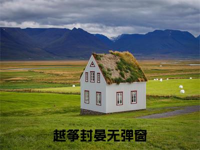 越筝封晏（你星际我修真，回到末世打丧尸）在线阅读-越筝封晏小说你星际我修真，回到末世打丧尸完整版免费阅读