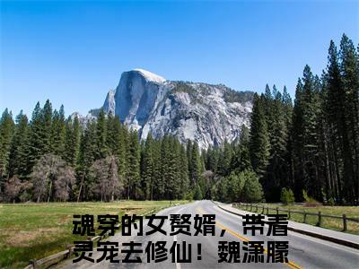 魂穿的女赘婿，带着灵宠去修仙！魏潇朦全文（魂穿的女赘婿，带着灵宠去修仙！魏潇朦）全文免费阅读无弹窗大结局_魂穿的女赘婿，带着灵宠去修仙！魏潇朦全文最新章节列表_笔趣阁（魂穿的女赘婿，带着灵宠去修仙！魏潇朦）