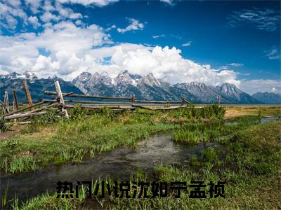 沈如宁孟祯（沈如宁孟祯）全文免费阅读无弹窗大结局_(沈如宁孟祯免费阅读)沈如宁孟祯最新章节列表_笔趣阁