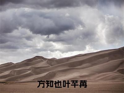 方知也叶芊苒小说全文(方知也叶芊苒)免费阅读全文无弹窗大结局_ 方知也叶芊苒免费阅读无弹窗小说_笔趣阁