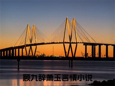 顾九辞萧玉全文免费阅读-主角为顾九辞萧玉的小说