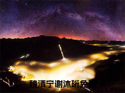 魏清宁谢沐珩(魏清宁谢沐珩)抖音热推小说全集无删减，魏清宁谢沐珩小说在线免费阅读大结局
