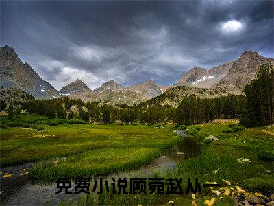 顾菀赵从一豪门小说全章节阅读-顾菀赵从一全文免费阅读