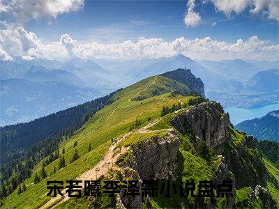 （宋若曦李泽霖）是什么小说-（宋若曦李泽霖）无弹窗免费阅读大结局最新章节列表_笔趣阁