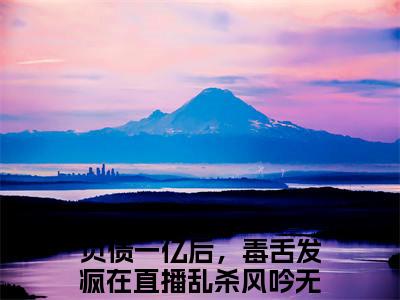 负债一亿后，毒舌发疯在直播乱杀风吟（负债一亿后，毒舌发疯在直播乱杀风吟）全文免费阅读大结局-负债一亿后，毒舌发疯在直播乱杀风吟完整版无弹窗