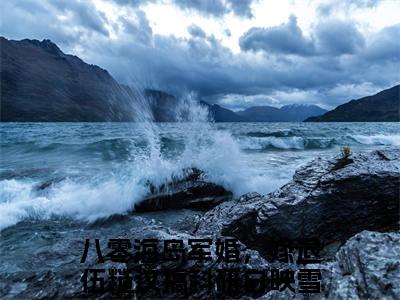 八零海岛军婚，嫁退伍糙汉搞科研白映雪(八零海岛军婚，嫁退伍糙汉搞科研白映雪)全文免费阅读无弹窗大结局_(八零海岛军婚，嫁退伍糙汉搞科研白映雪)小说免费阅读最新章节列表