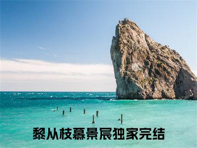 黎从枝慕景宸免费阅读（黎从枝慕景宸）全文免费阅读无弹窗大结局_黎从枝慕景宸免费阅读最新章节列表_笔趣阁（黎从枝慕景宸）