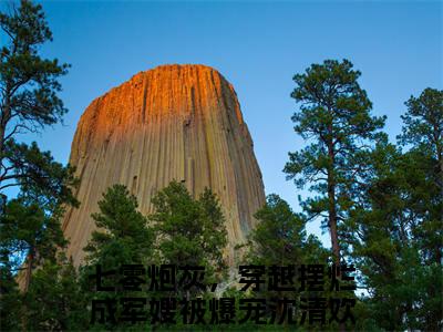 七零炮灰，穿越摆烂成军嫂被爆宠沈清欢（七零炮灰，穿越摆烂成军嫂被爆宠沈清欢）最新章节在线阅读-小说七零炮灰，穿越摆烂成军嫂被爆宠沈清欢完整版阅读