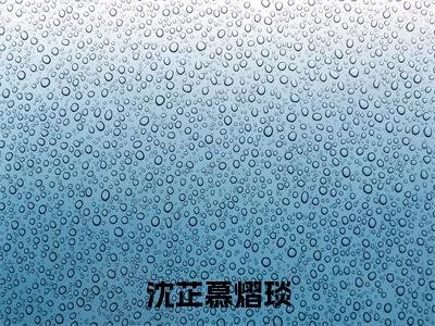 沈芷慕熠琰（这辈子都在苦苦纠缠）全文免费阅读无弹窗大结局_这辈子都在苦苦纠缠全文在线阅读