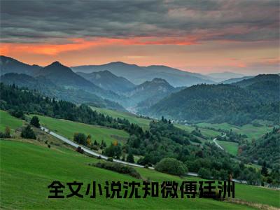沈知微傅廷洲（沈知微傅廷洲）小说大结局全文免费阅读-沈知微傅廷洲抖音小说