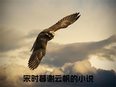 宋时暮谢云帆（宋时暮谢云帆）全文免费阅读无弹窗大结局_（宋时暮谢云帆免费阅读全文大结局）最新章节列表