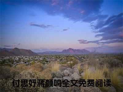 付思妤蒋颜鸣（付思妤蒋颜鸣）抖音热推小说全集无删减_（付思妤蒋颜鸣免费阅读全文大结局）最新章节列表_笔趣阁