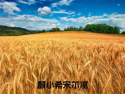 偏执总裁的大佬夫人（颜小希宋尔凉全章节完整版）免费阅读_（偏执总裁的大佬夫人）全文无删减免费阅读（偏执总裁的大佬夫人）