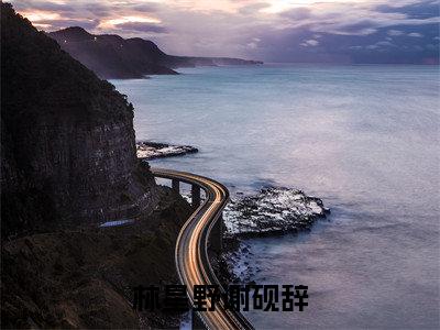 林星野谢砚辞（林星野谢砚辞）全文在线阅读无弹窗大结局_（林星野谢砚辞）林星野谢砚辞最新章节列表_笔趣阁（林星野谢砚辞）