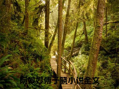 阮妙妙傅子骁小说全文免费阅读无弹窗大结局-（阮妙妙傅子骁免费阅读无弹窗）阮妙妙傅子骁最新章节列表笔趣阁