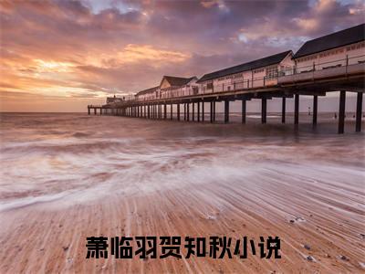 萧临羽贺知秋小说叫什么名字（萧临羽贺知秋）完整版大结局-萧临羽贺知秋小说在线阅读