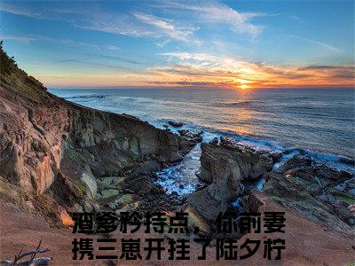 渣爹矜持点，你前妻携三崽开挂了陆夕柠小说全文免费阅读最新章节_渣爹矜持点，你前妻携三崽开挂了陆夕柠（渣爹矜持点，你前妻携三崽开挂了陆夕柠）免费观看完结版_笔趣阁