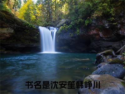 沈安笙韩峥川（沈安笙韩峥川）全文免费阅读无弹窗大结局_沈安笙韩峥川在线阅读（沈安笙韩峥川）