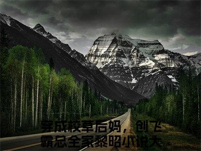 穿成校草后妈，创飞霸总全家黎昭（穿成校草后妈，创飞霸总全家黎昭）全文免费阅读无弹窗大结局_（穿成校草后妈，创飞霸总全家黎昭全文免费阅读无弹窗）穿成校草后妈，创飞霸总全家黎昭最新章节列表_笔趣阁（穿成校草后妈，创飞霸总全家黎昭）