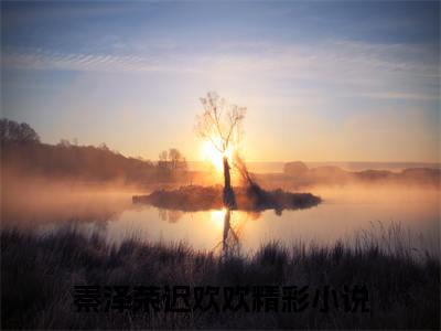 秦泽荣迟欢欢免费小说 秦泽荣迟欢欢完结版在线阅读