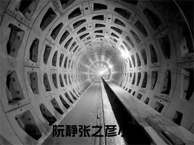 阮静张之彦（阮静张之彦）全文免费在线阅读_阮静张之彦全文免费阅读无弹窗大结局