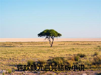 许欢颜尤言（许欢颜尤言）小说全文免费阅读无弹窗_（许欢颜尤言）最新章节列表_笔趣阁